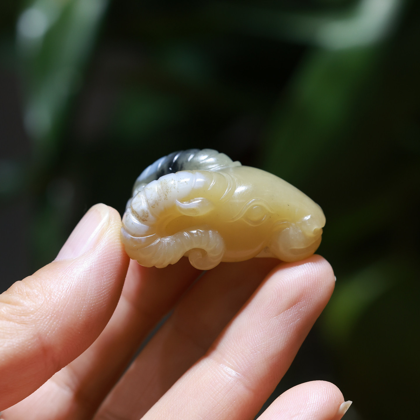 新疆和田玉籽料青花玉带糖色羊头挂件