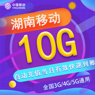 5G通用 湖南移动月包10G 当月有效 全国流量 不可提速