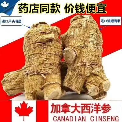 西洋参正宗加拿大特级进口粒头整枝整根花旗参正品打粉切片原装