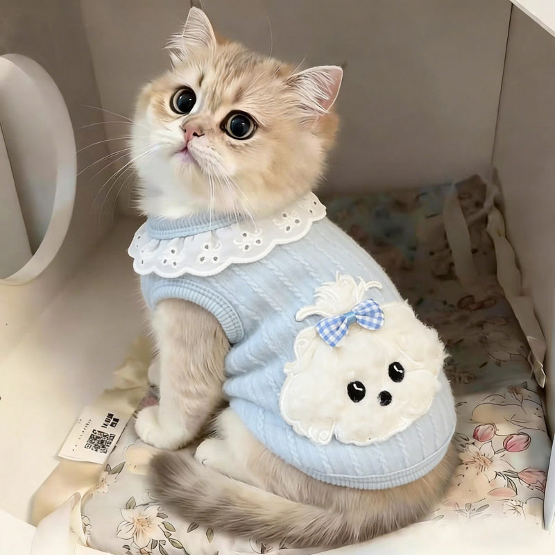 猫咪衣服秋冬季新款磨毛棉潦草小狗背心带牵引扣布偶金渐层防掉毛