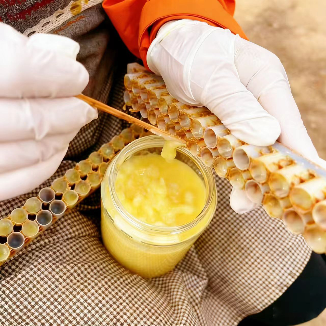 高品质蜂王浆纯正天然农家自产新鲜蜂皇浆高王浆酸0添加现采现发