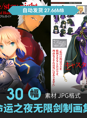 Fatestay night命运之夜无限剑制设定集人物立绘原画游戏动漫素材