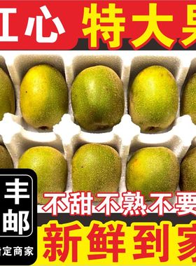 四川蒲江红心猕猴桃5斤新鲜特大果当季水果苍溪浦江奇异果弥猴桃