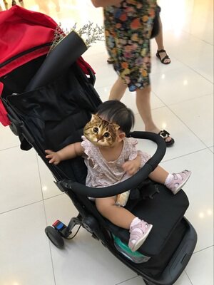 mountain buggy nano V2婴儿推车扶手推车配件伞车护栏挡杆定制款