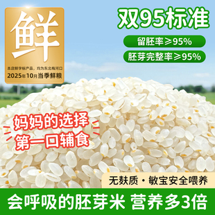25年胚芽米新米圆粒粳米小孩胚芽米辅食熬米汤现碾磨补津液零添加