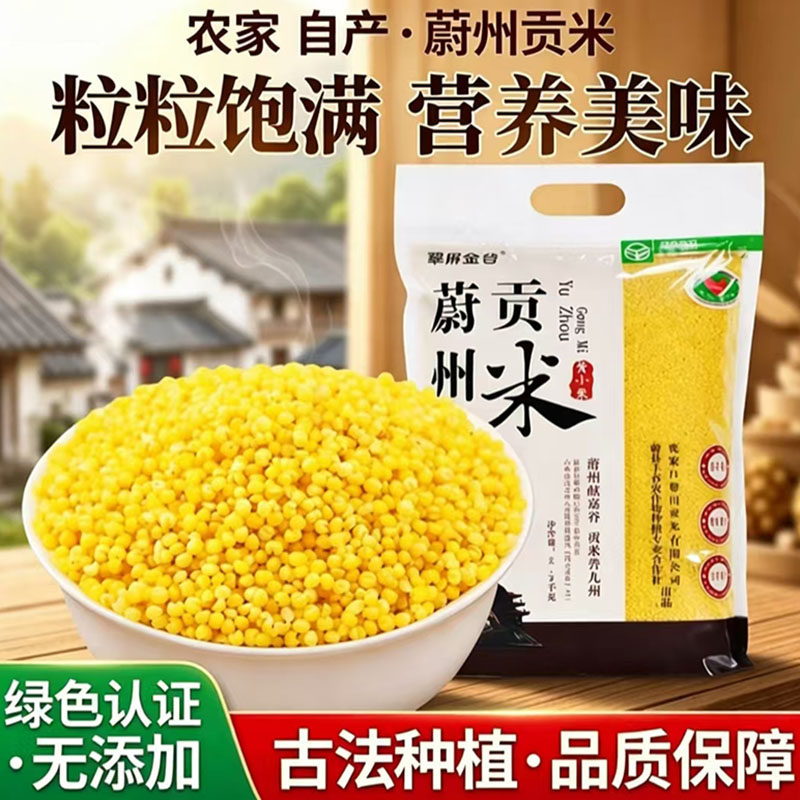 绿色黄小米5斤蔚县小米杂粮蔚州贡米小米粥新米小黄米2.5kg
