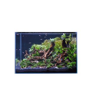 米熊海水缸海缸金晶超白90尺寸底滤缸海缸珊瑚缸超白缸带底柜