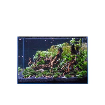 米熊金晶超白五线黑玻水切割