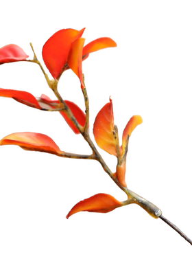 花瓶摆件家居插花装饰
