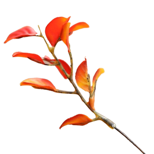 花瓶装饰摆件枝仿真短枝95cm家居轻奢1米2仿真花红叶李假花瓶花插