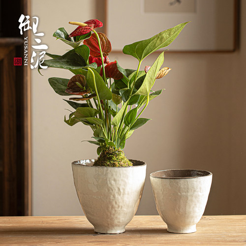 复古感简约陶瓷花盆居家专用