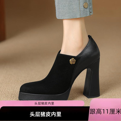 内外全皮防水台11cm高跟鞋女春秋季新款时尚尖头真皮磨砂粗跟单鞋