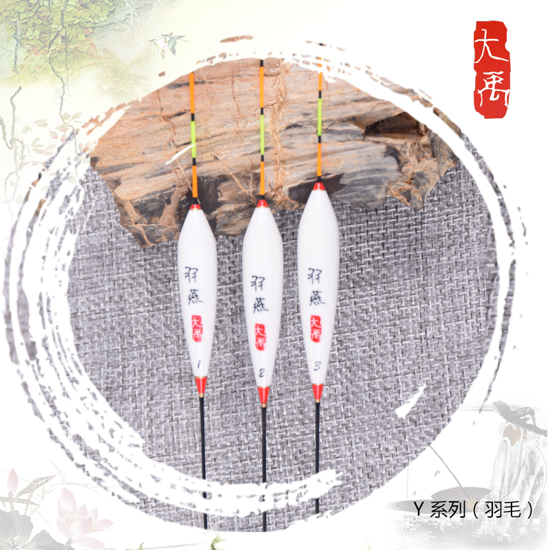 【羽燕】y系列孔雀醒目金华羽毛