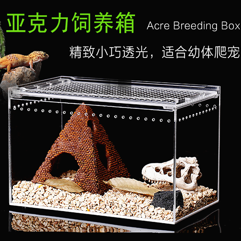爬虫饲养箱亚克力饲养盒宠物盒爬虫饲养箱拍爬宠异族宠物饲养盒