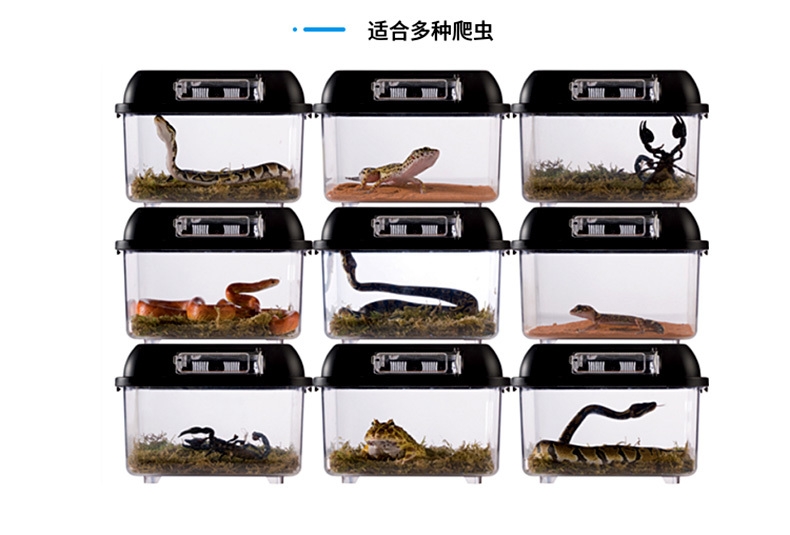 爬虫饲养盒鱼缸饲养盒爬宠饲养盒宠物水族箱鱼缸乌龟守宫造景缸