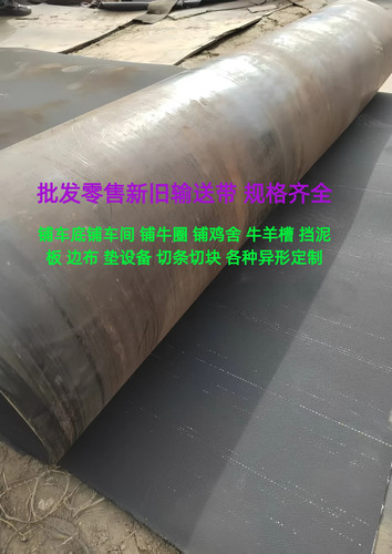 旧尼龙输送带钢丝带铺车间设备垫