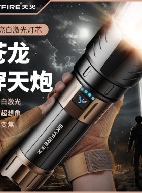 苍龙手电筒天火混合型灯泡