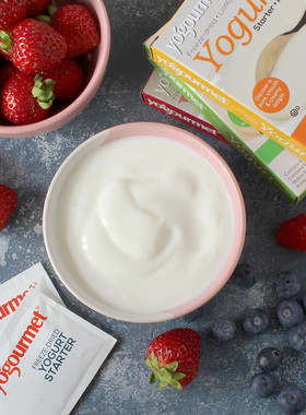 进口优古母Yogourmet原味酸奶发酵菌粉自制保加利亚乳杆菌发酵剂