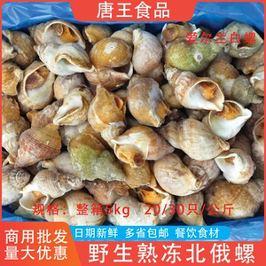 爱尔兰白螺整箱5kg商用餐饮食材