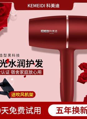 德系电吹风机家用大风力发廊大功率2200w负离子护发男士专用冷热