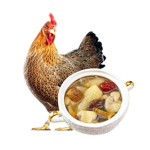 天农广东正宗清远鸡整鸡农家散养土鸡童子鸡小公鸡母鸡新鲜谷饲