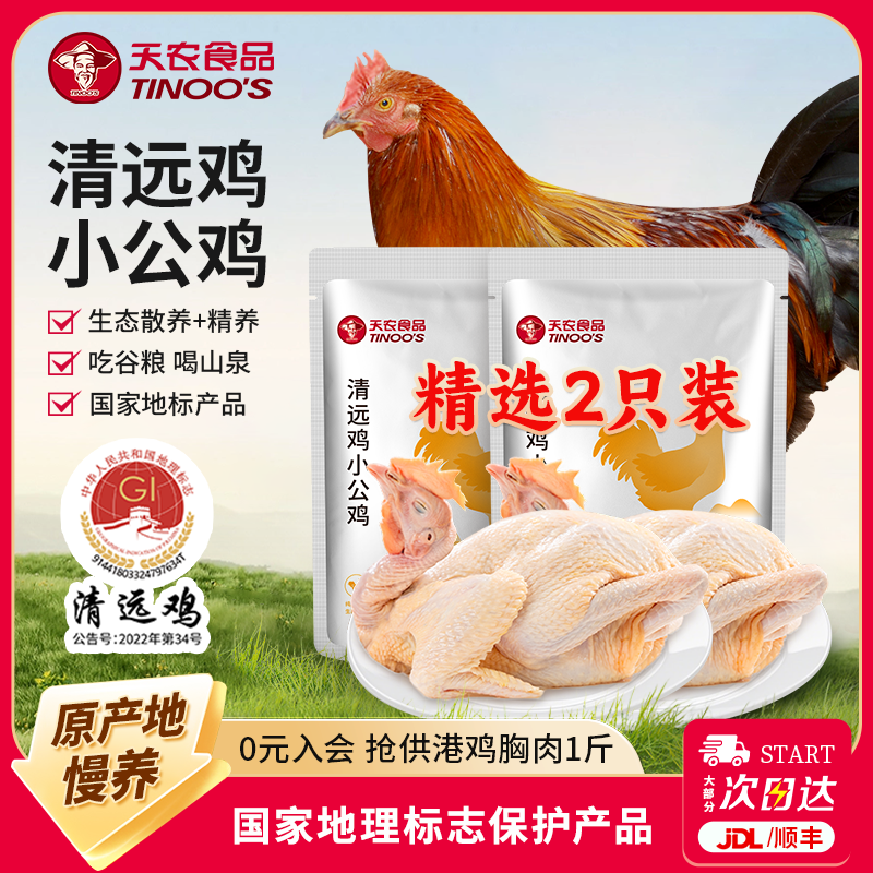 天农正宗清远小公鸡谷饲整只新鲜