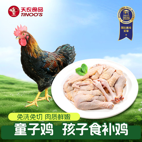 天农童子鸡正宗清远鸡小公鸡