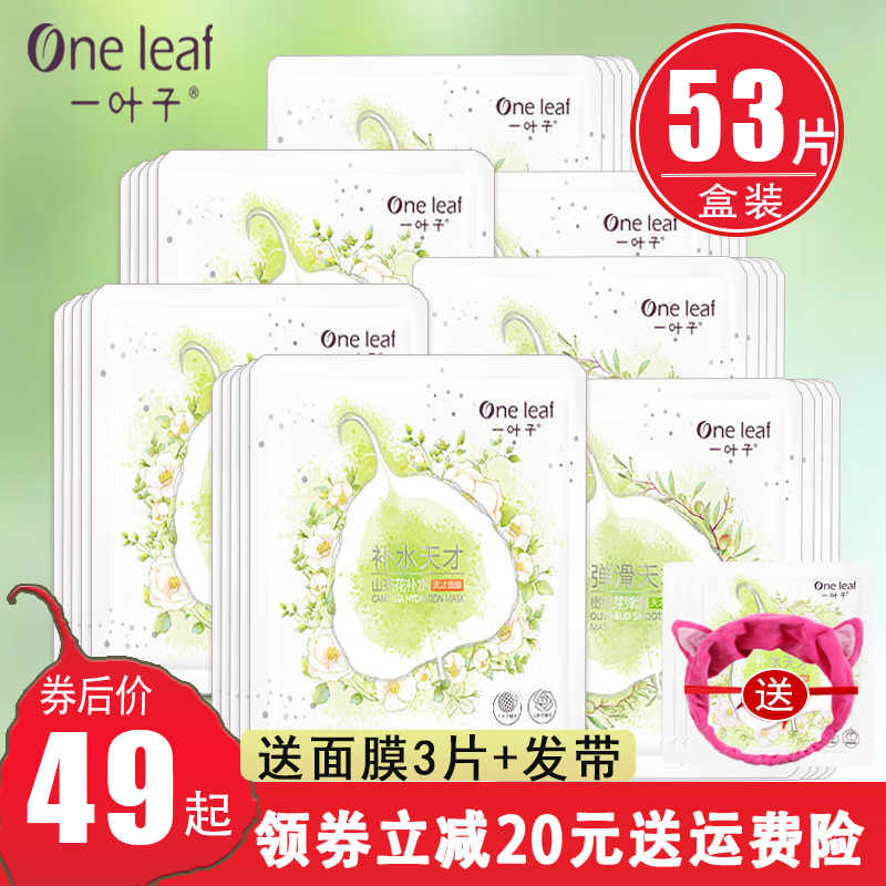 一叶子面膜天才补水保湿美白淡斑控油祛痘收缩毛孔提亮肤色女正品使用感如何?