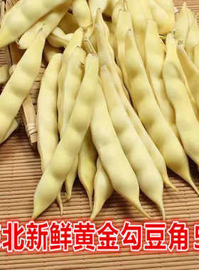 2026年新鲜黄金勾豆角