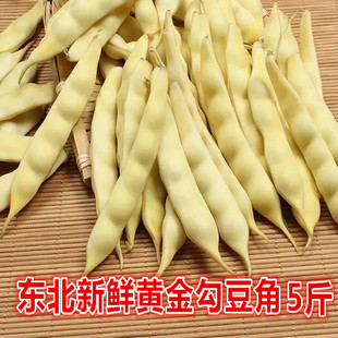 今年新鲜黄金勾豆角油豆角兔子翻白眼勾勾黄豆角蔬菜东北豆角包邮