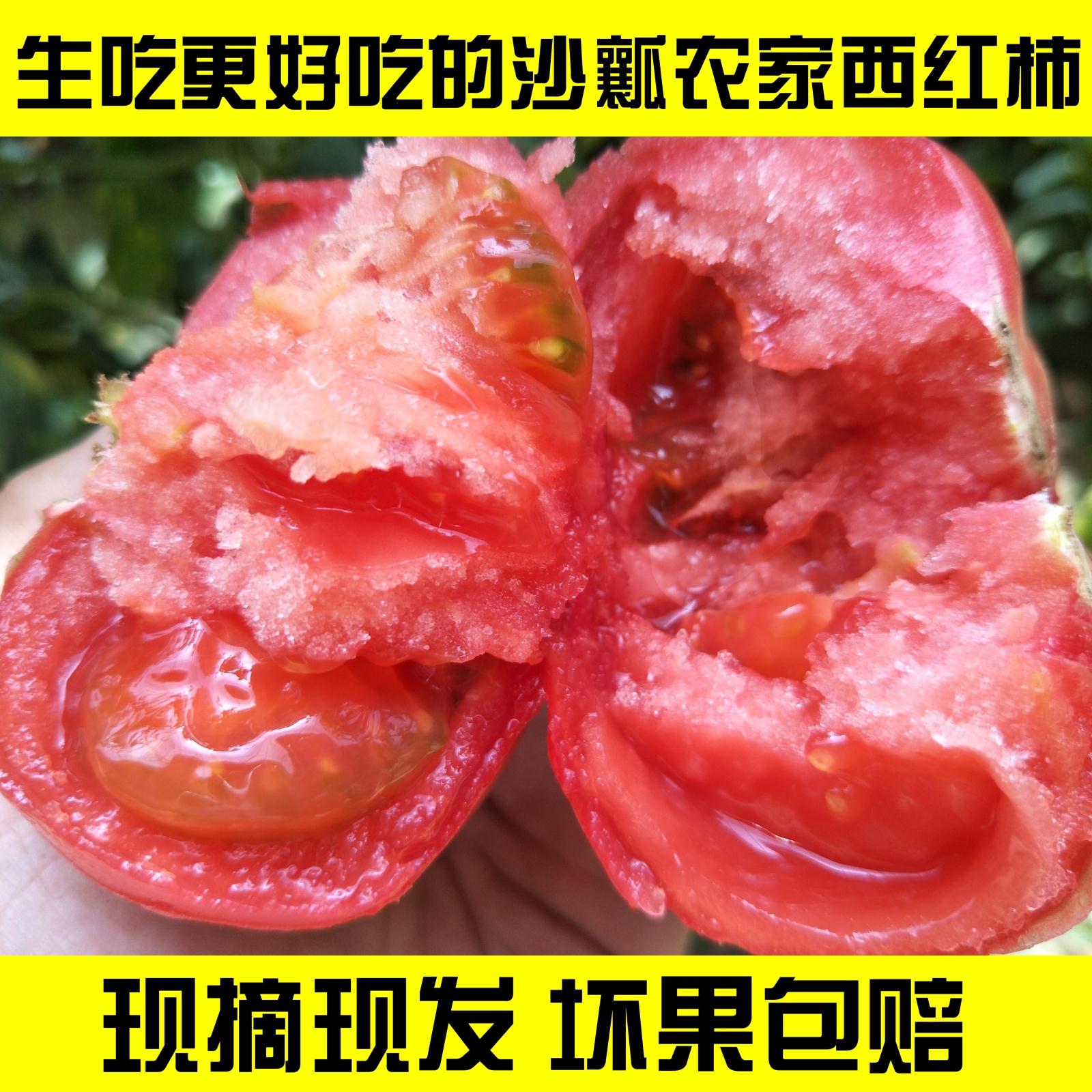 山东农家自种西红柿番茄纯天然沙瓤柿子纯天然洋柿子五斤包邮