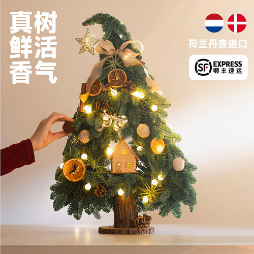 亨勒进口鲜活圣诞树诺贝松真树