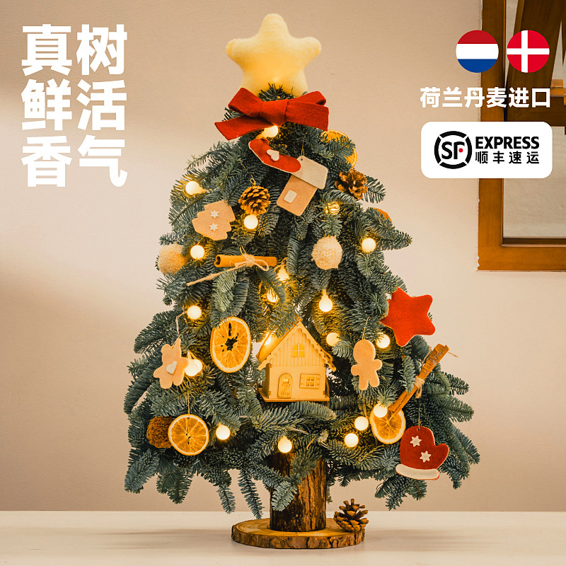 亨勒荷兰进口诺贝松圣诞树真树