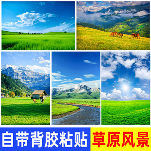 大草原海报墙贴画内蒙古蓝天白云草地背景纸大自然风景自粘装饰画