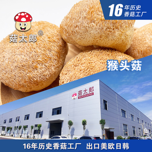 菇太郎猴头菇干货山珍猴头蘑菇长白山猴菇新货50g包邮煲汤食用菌