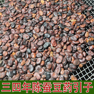三四年陈年老蚕豆药引子旧蚕豆无添加老年人健忘症药帕金森综合征