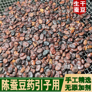 四年陈年老蚕豆药引子无添加老年健忘症帕金森放久陈旧蚕豆药引子