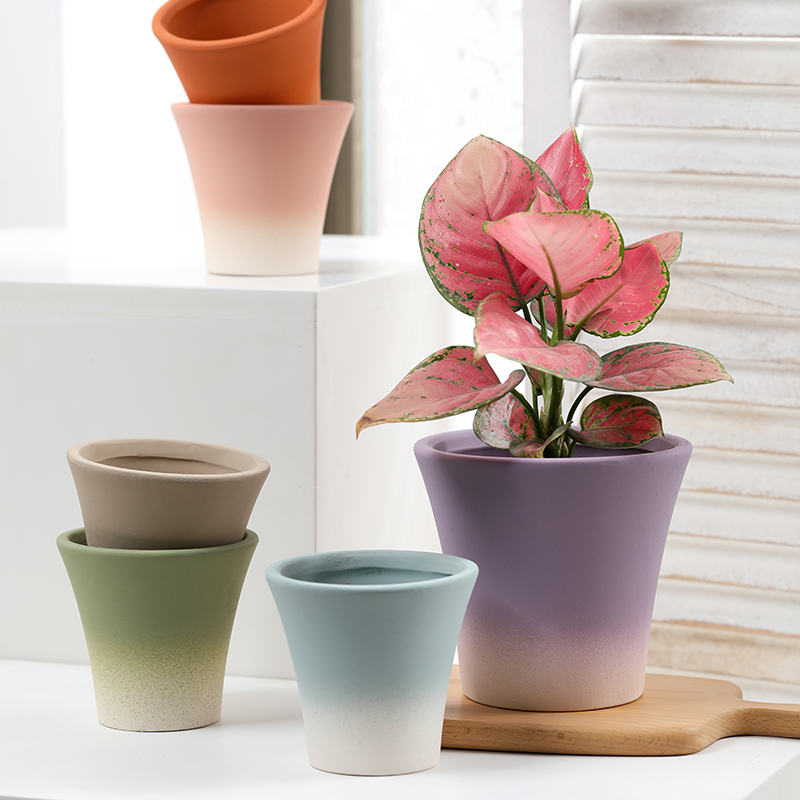 高圆形创意渐变色彩陶土花盆素烧陶瓷透气有孔带托盘绿植文竹花苗,鲜花速递/花卉仿真/绿植园艺,花盆,淘宝优惠券,粉丝福利购,淘宝优惠卷