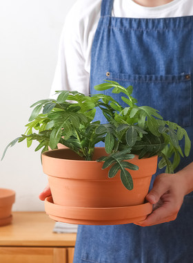 陶瓷红陶矮盆扁盆透气绿植鲜花
