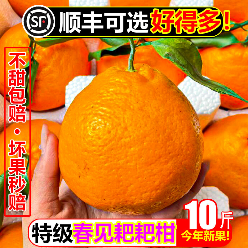四川春见耙耙柑10斤特级大新鲜水果大橘子当季整箱孕妇丑柑甜桔子