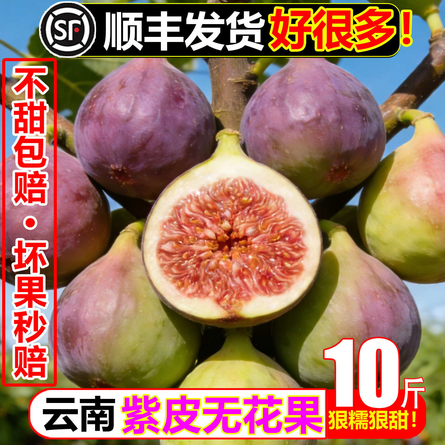 只发顺丰紫皮无花果10斤新鲜水果特级波姬红新鲜孕妇青红皮果下奶