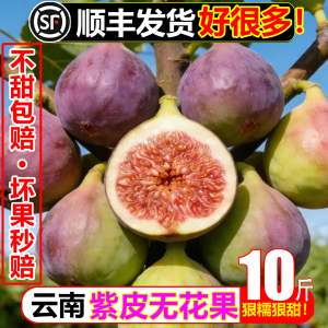 【顺丰次日达】紫皮甜无花果10斤