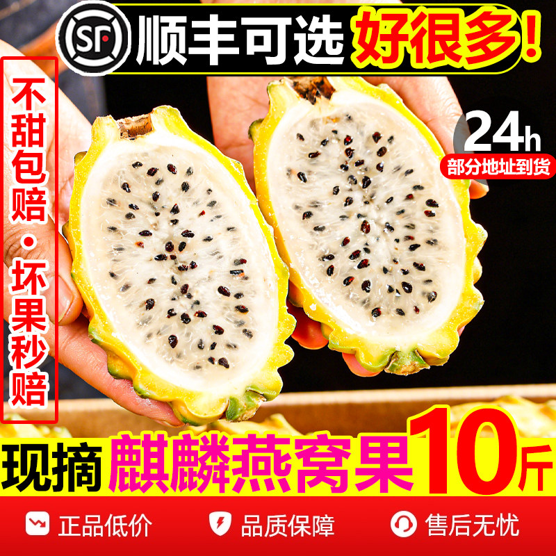 【顺丰次日达】纯甜燕窝果10斤