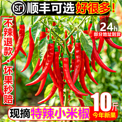 【顺丰次日达】怕辣勿拍不辣退款