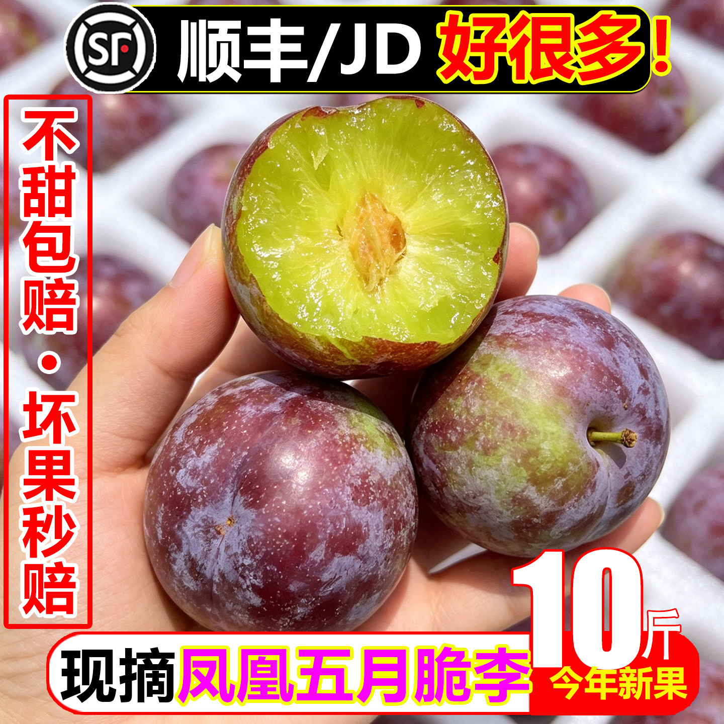【顺丰次日达】五月脆李子10斤