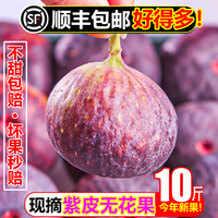 【顺丰包邮】紫皮无花果10斤新鲜水果甜糯当季特级大果青红皮孕妇
