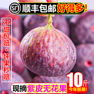 【顺丰包邮】紫皮无花果10斤新鲜水果甜糯当季特级大果青红皮孕妇