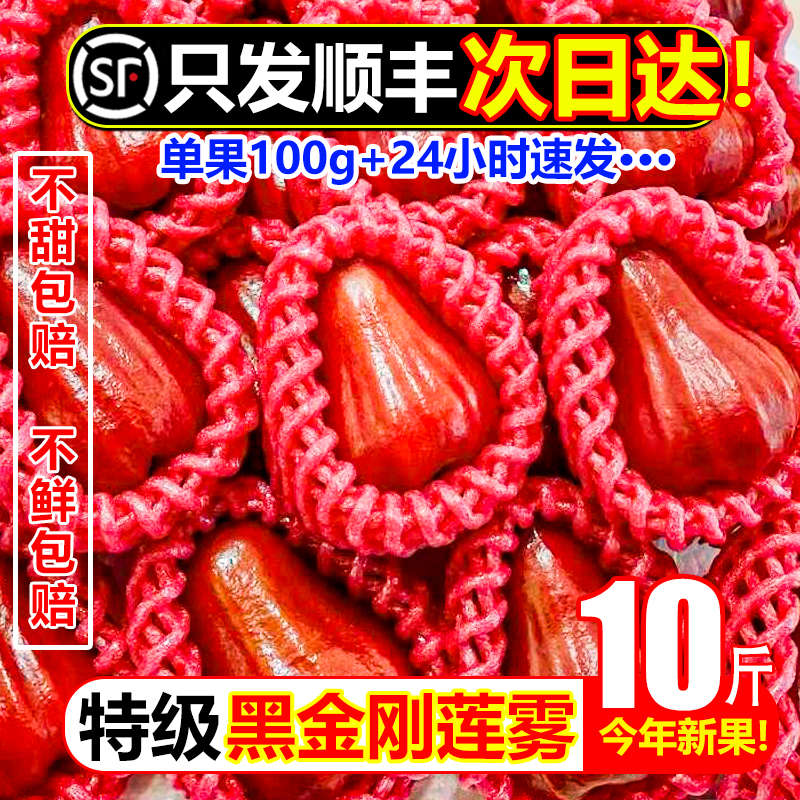 【顺丰次日达】黑金刚甜莲雾10斤