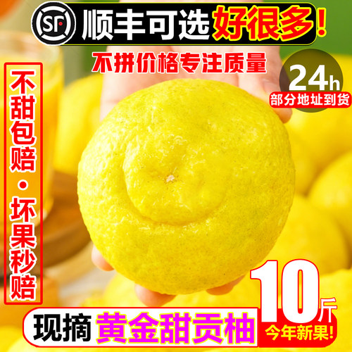 【顺丰次日达】纯甜黄金贡柚10斤