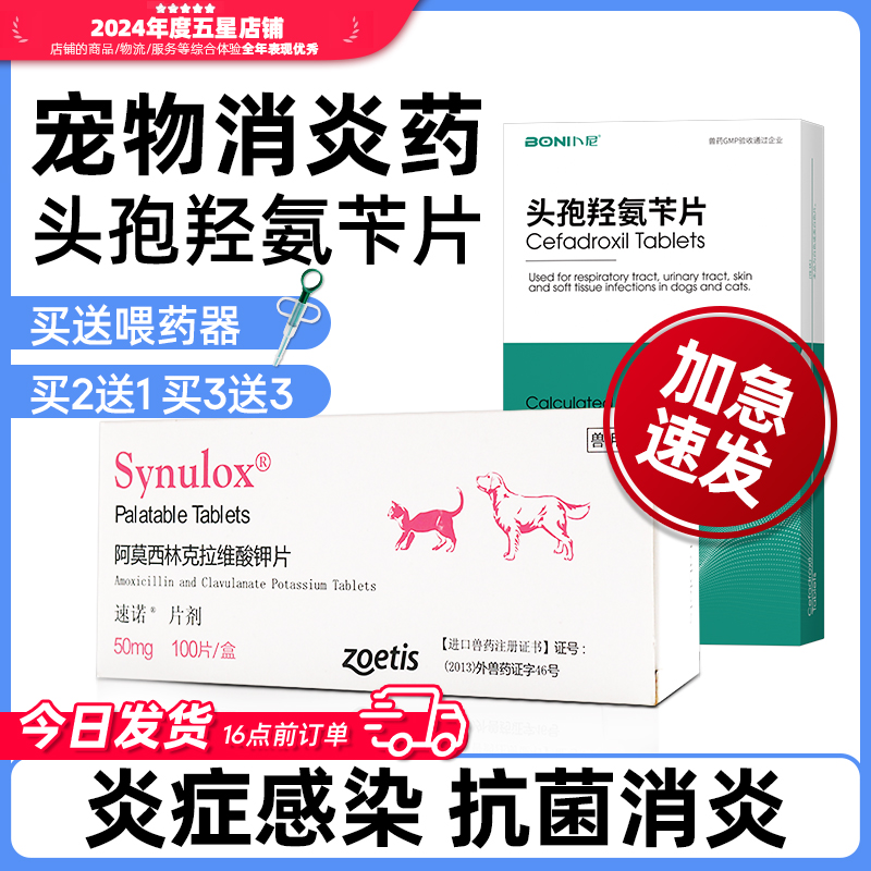 宠物消炎药头孢速诺猫咪狗狗